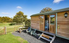 Teasel Shepherd'S Hut